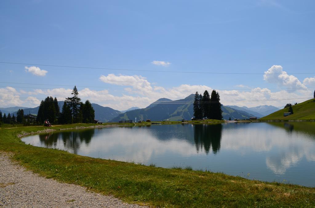 Haus Brugglbach Daire Kirchberg in Tirol Dış mekan fotoğraf