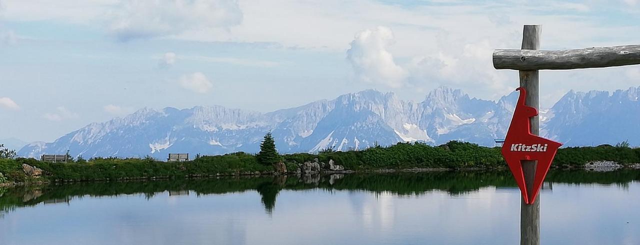 Haus Brugglbach Daire Kirchberg in Tirol Dış mekan fotoğraf