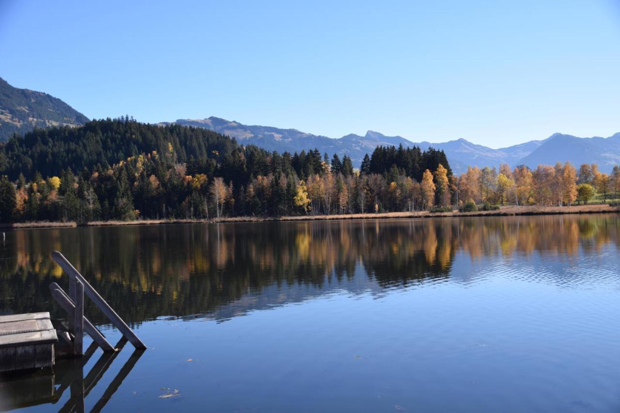 Haus Brugglbach Daire Kirchberg in Tirol Dış mekan fotoğraf